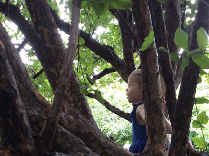 Child playing in Tree