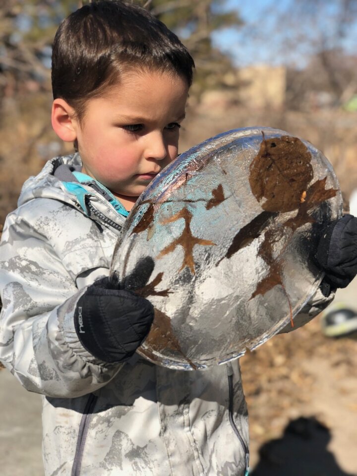 Barden looking at ice in winter